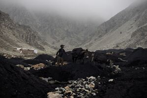 Ein Junge führt einen mit Kohle beladenen Esel von einer informellen Kohlemine zu einer Sammelstelle am Fuße des Berges., © Oliver Weiken/dpa