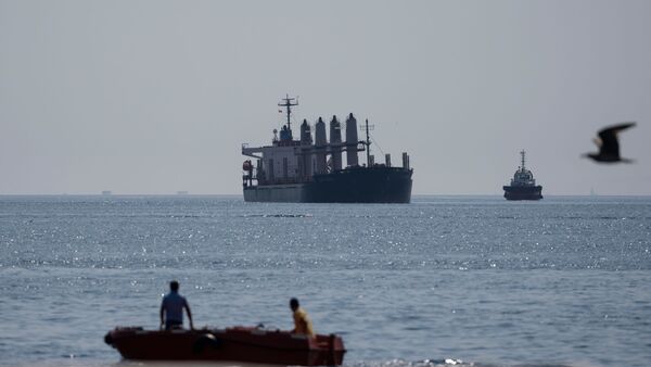 Das mit Getreide beladene Frachtschiff «Lady Zehma» ankert im Marmarameer., © Khalil Hamra/AP/dpa