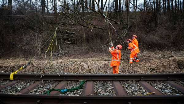 Arbeiter befreien eine Bahnstrecke von Ästen umgestürzter Bäume., © Sina Schuldt/dpa/Symbolbild